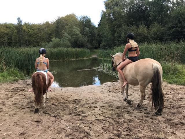 Anden særlig race Bugsy billede 8