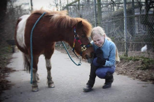 Anden særlig race Bugsy billede 10