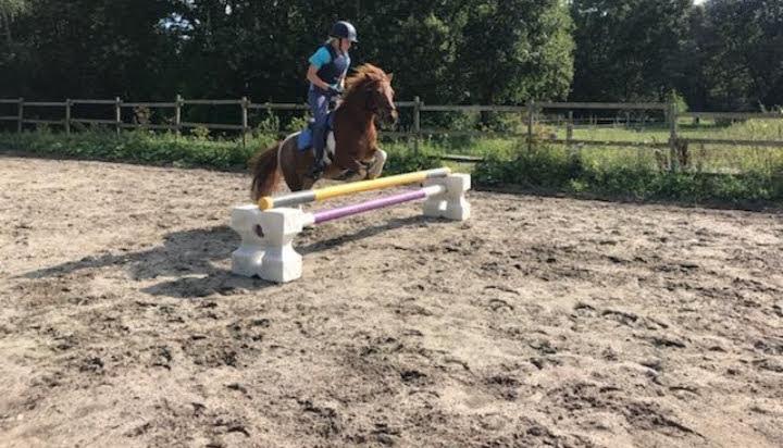 Anden særlig race Bugsy billede 19