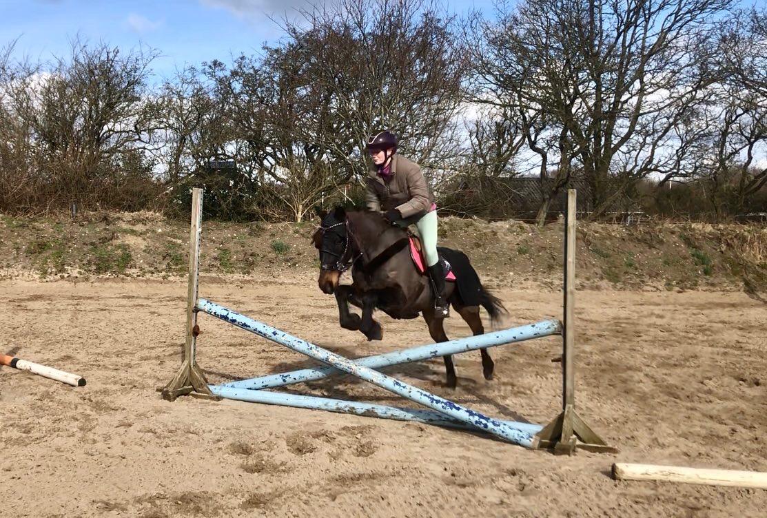 Anden særlig race UN~Kina billede 18