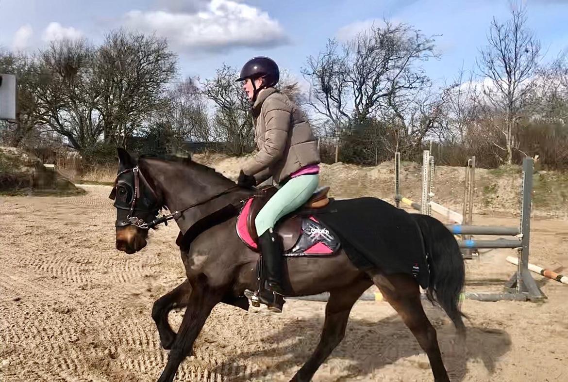 Anden særlig race UN~Kina billede 17