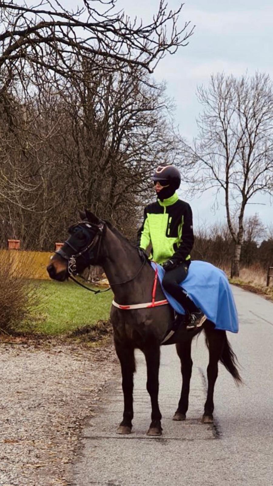 Anden særlig race UN~Kina billede 19