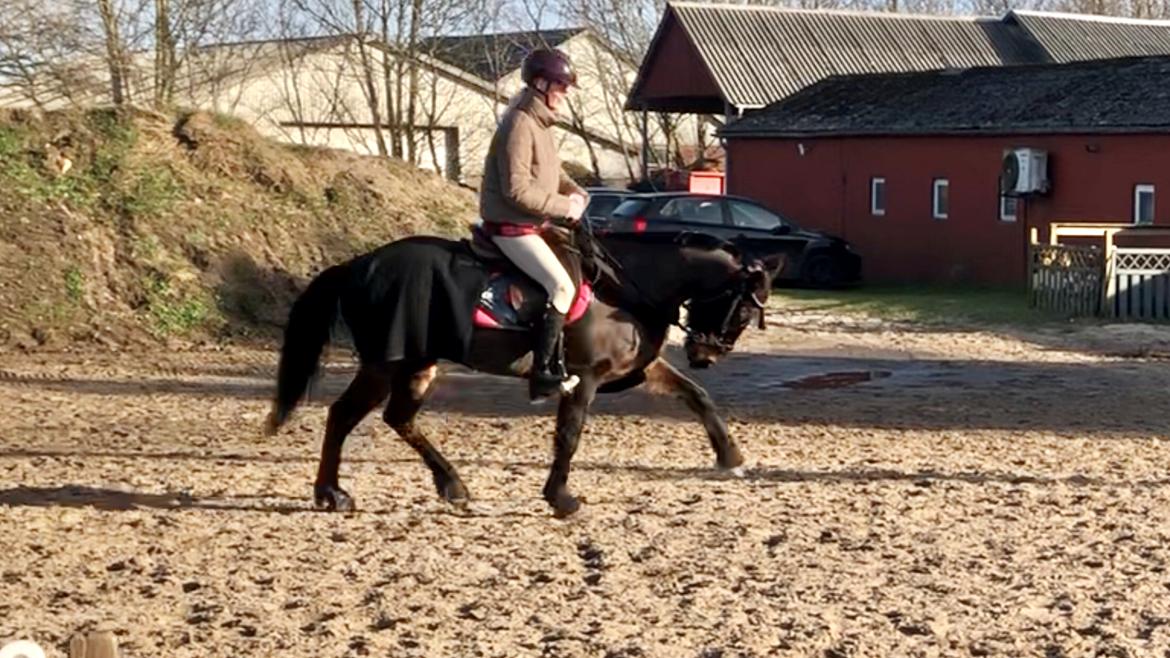 Anden særlig race UN~Kina billede 20