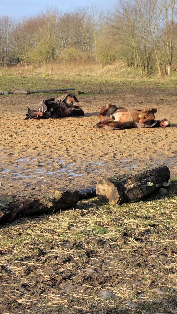 Traver Countyourblessings  - Hygge med Countys ven :) billede 2