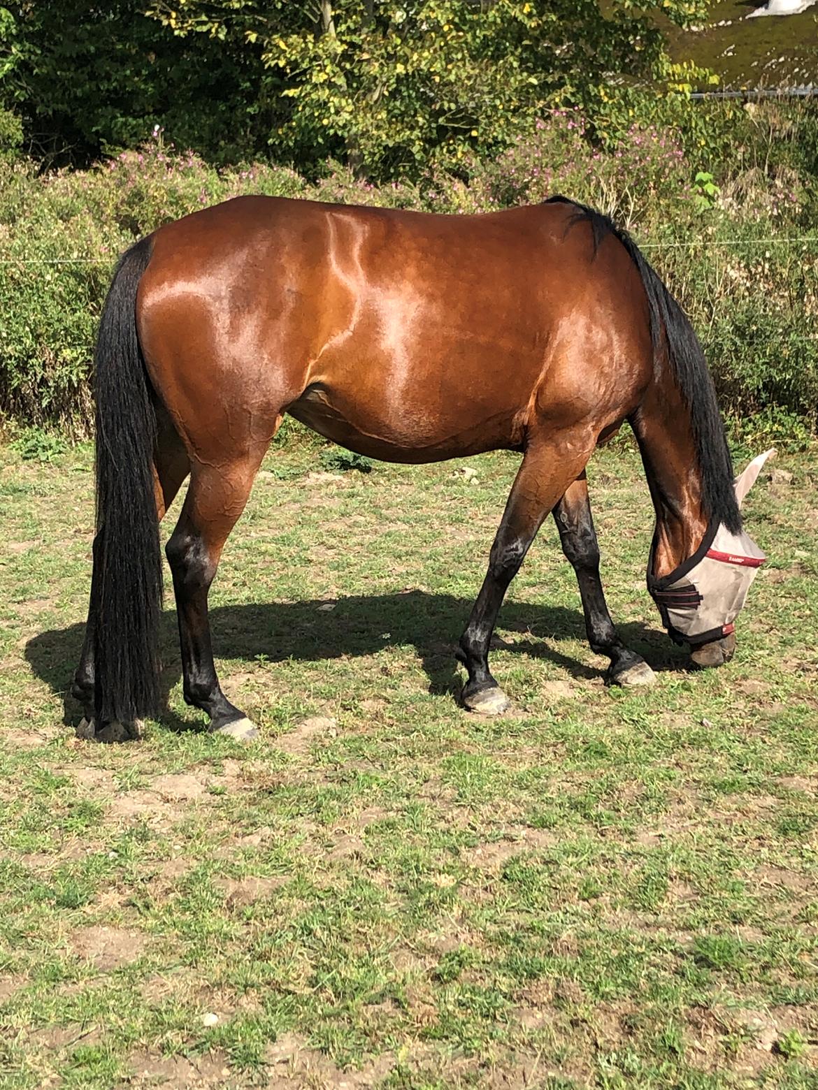 Traver Countyourblessings  - Nøøghh hun skinner  billede 7