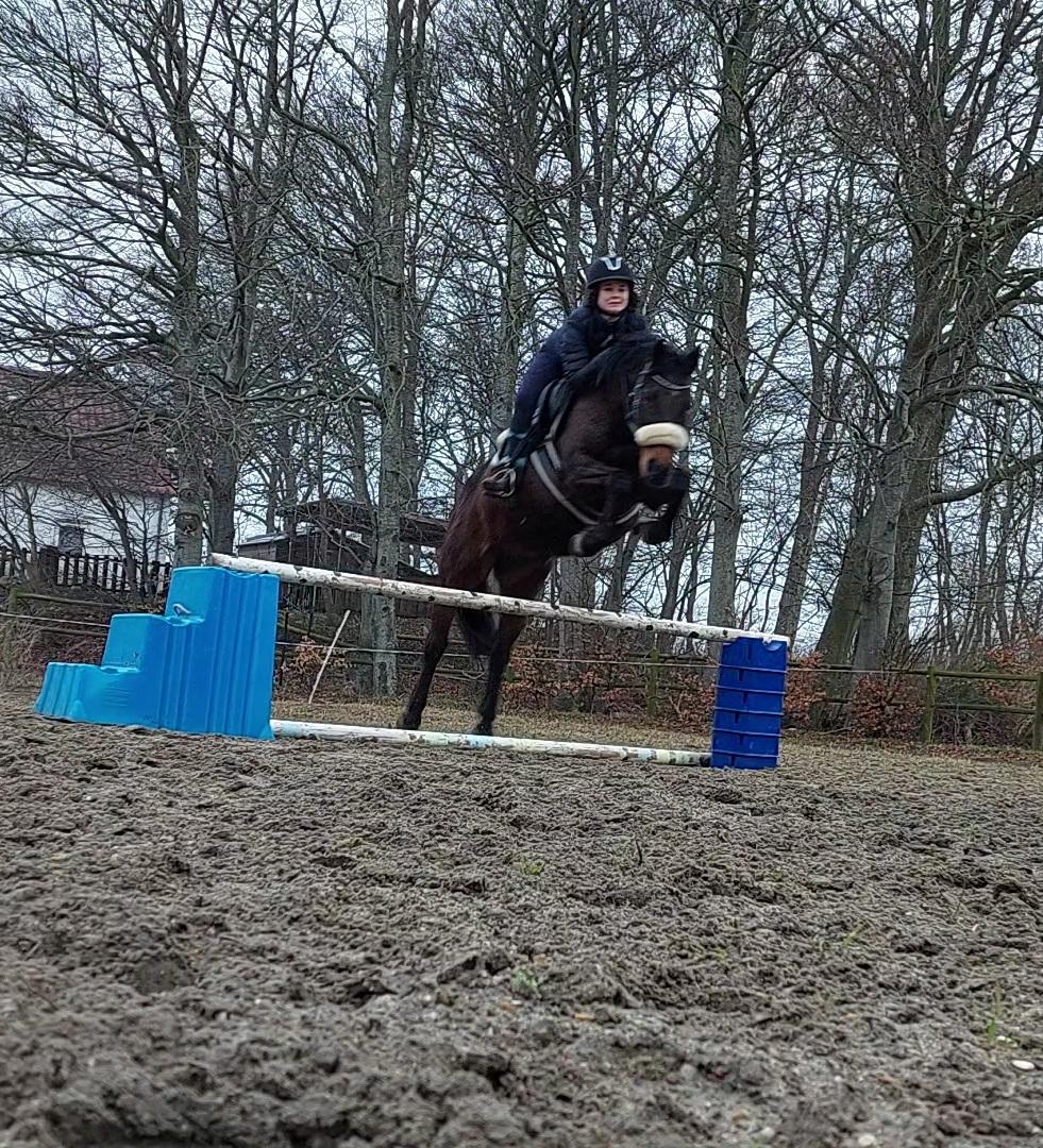 DSP Tovdal's Cult Shaker - part billede 10