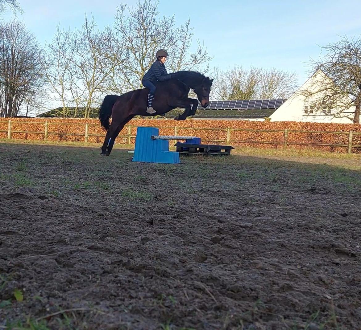 DSP Tovdal's Cult Shaker - part billede 14