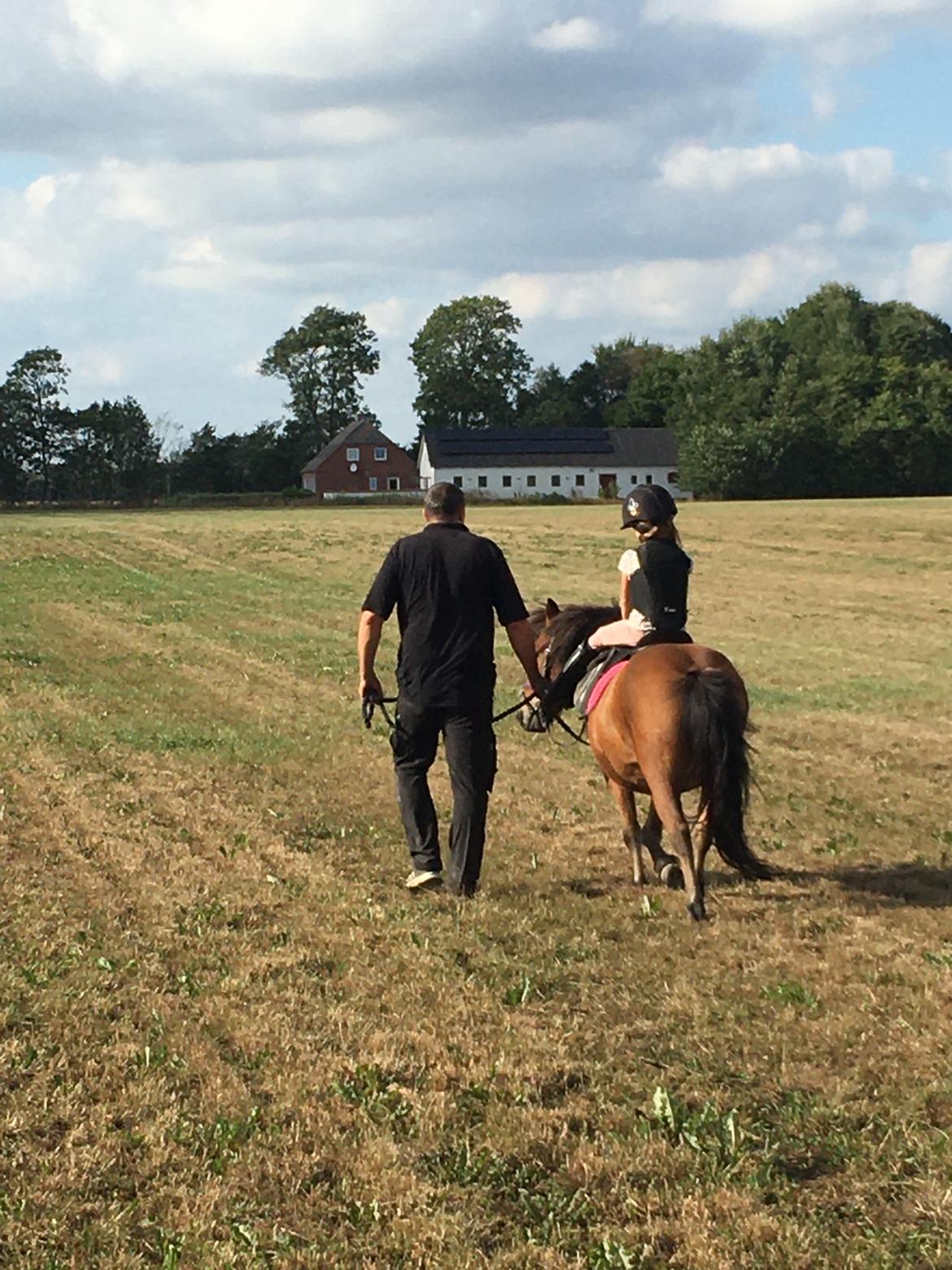 Shetlænder Bifrost billede 11