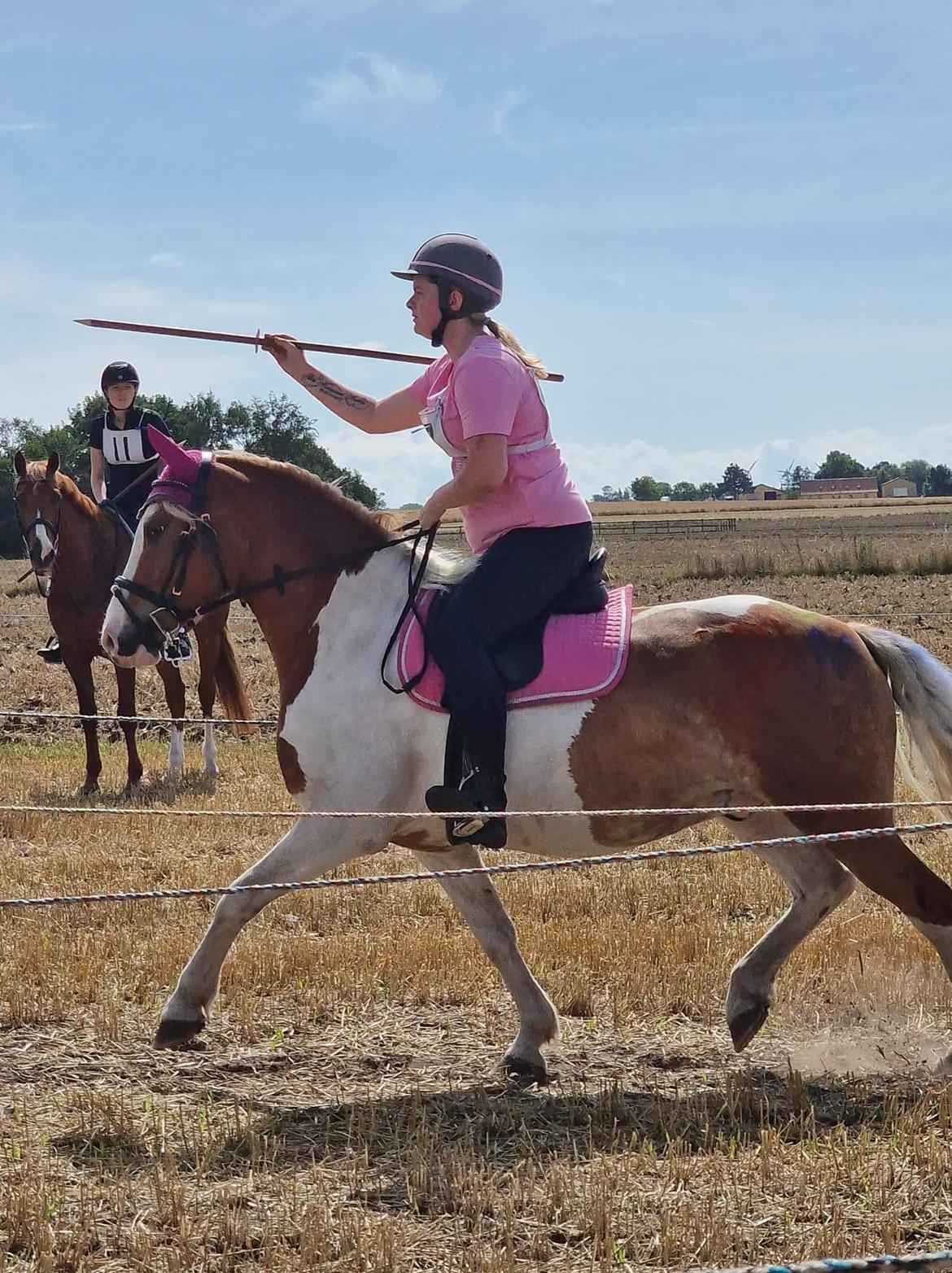 Anden særlig race Storm billede 12