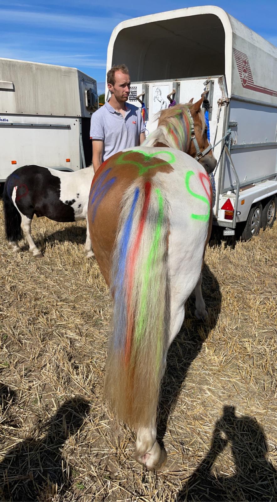 Anden særlig race Storm billede 14