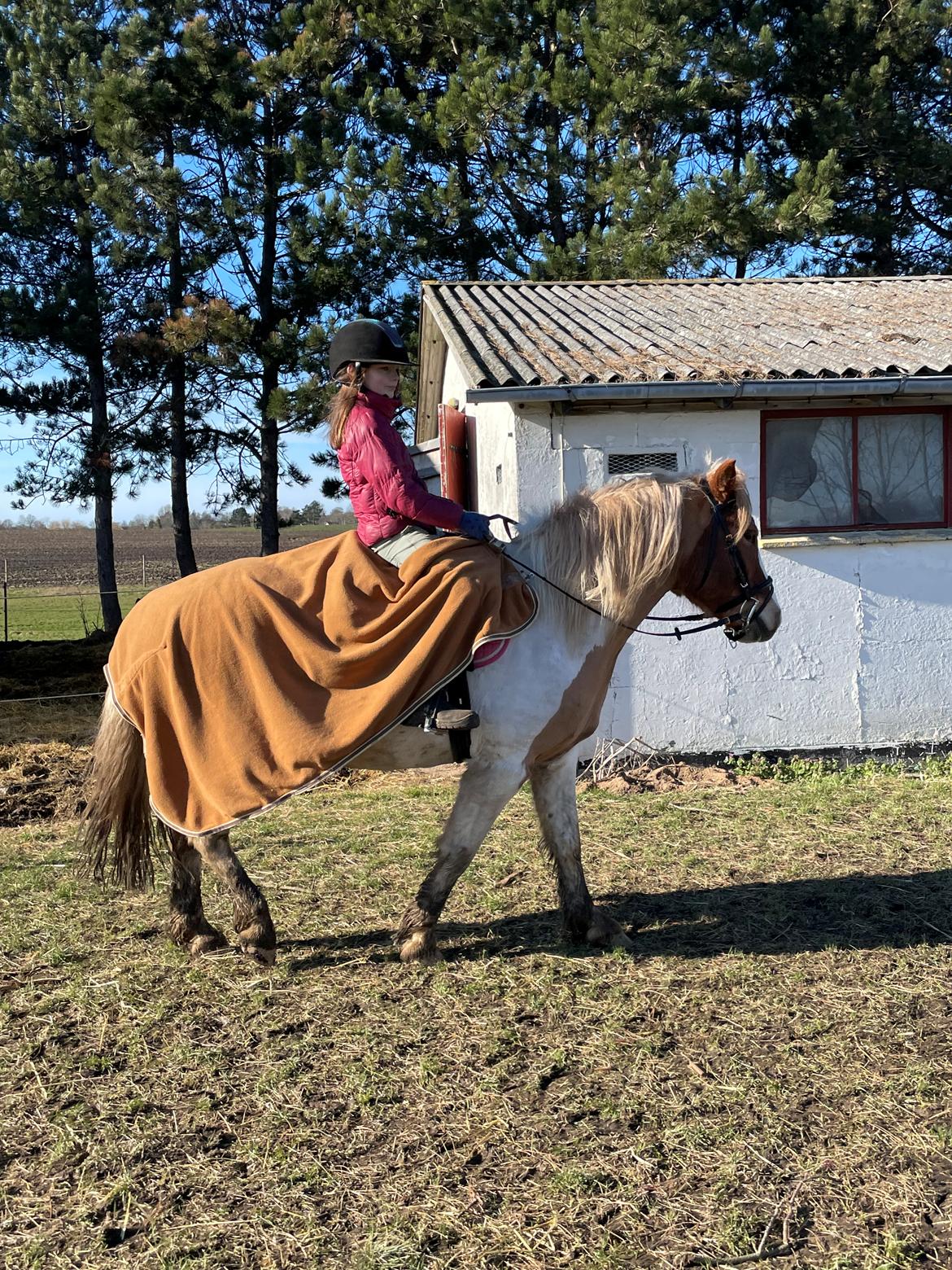 Anden særlig race Storm billede 9