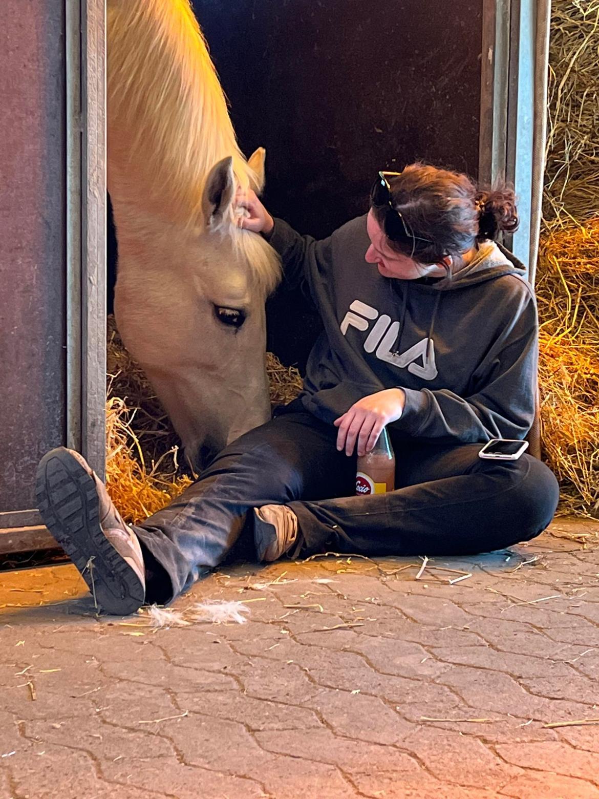 DSP Tranholms Maici billede 13