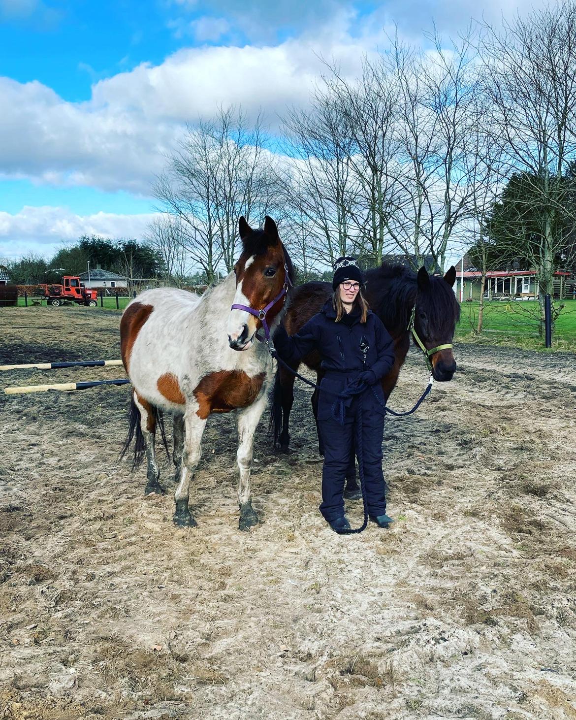 Traver Verrazano Field billede 3