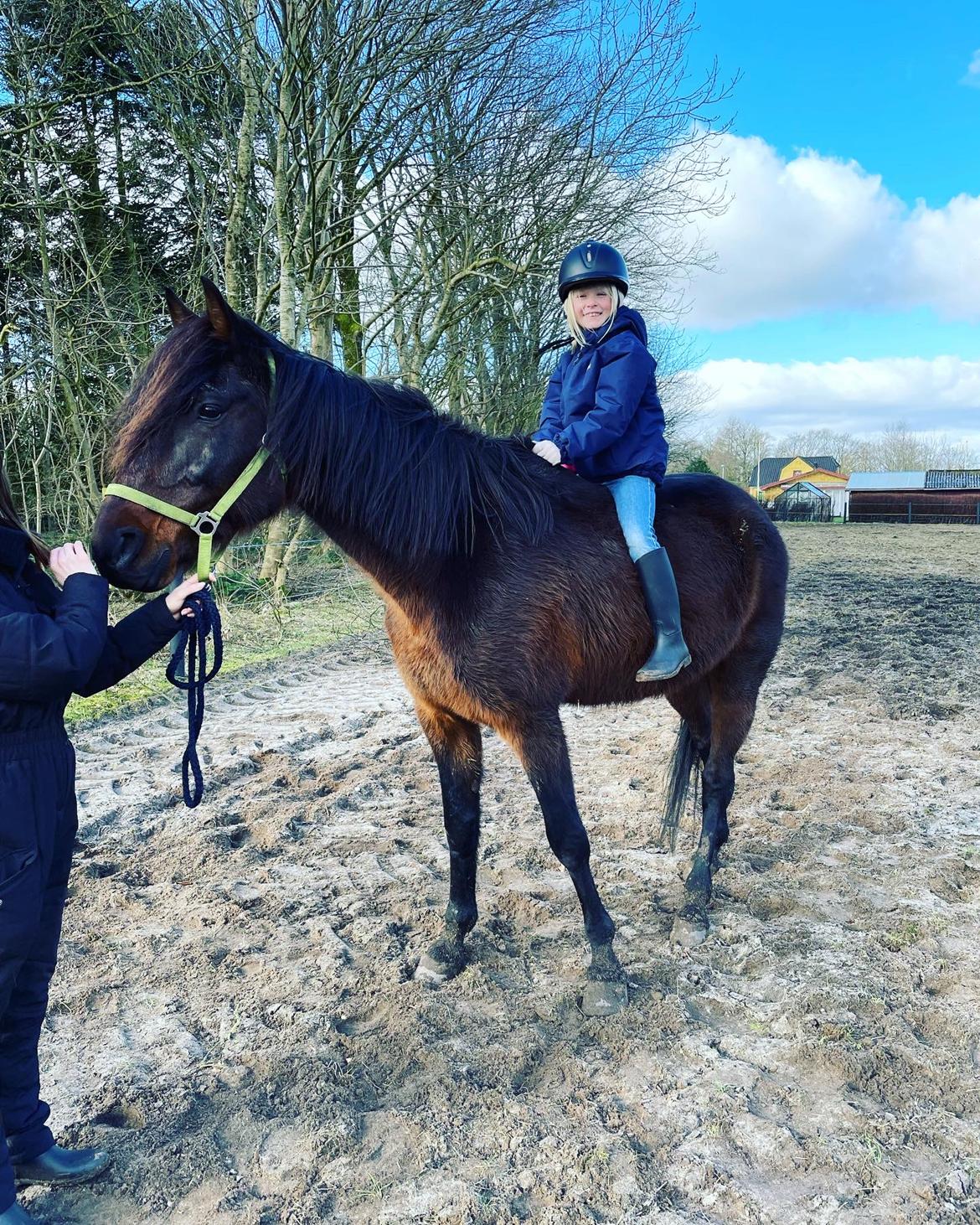 Traver Verrazano Field billede 4