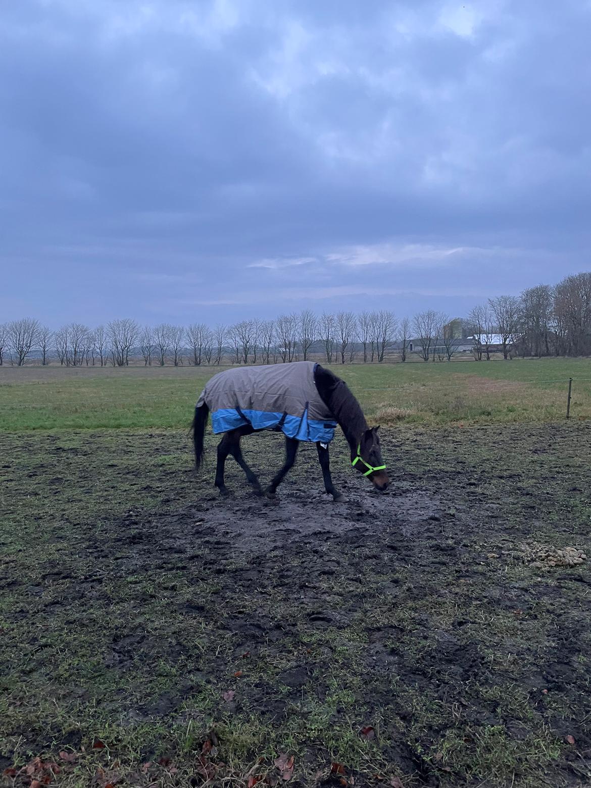 Traver Verrazano Field billede 5