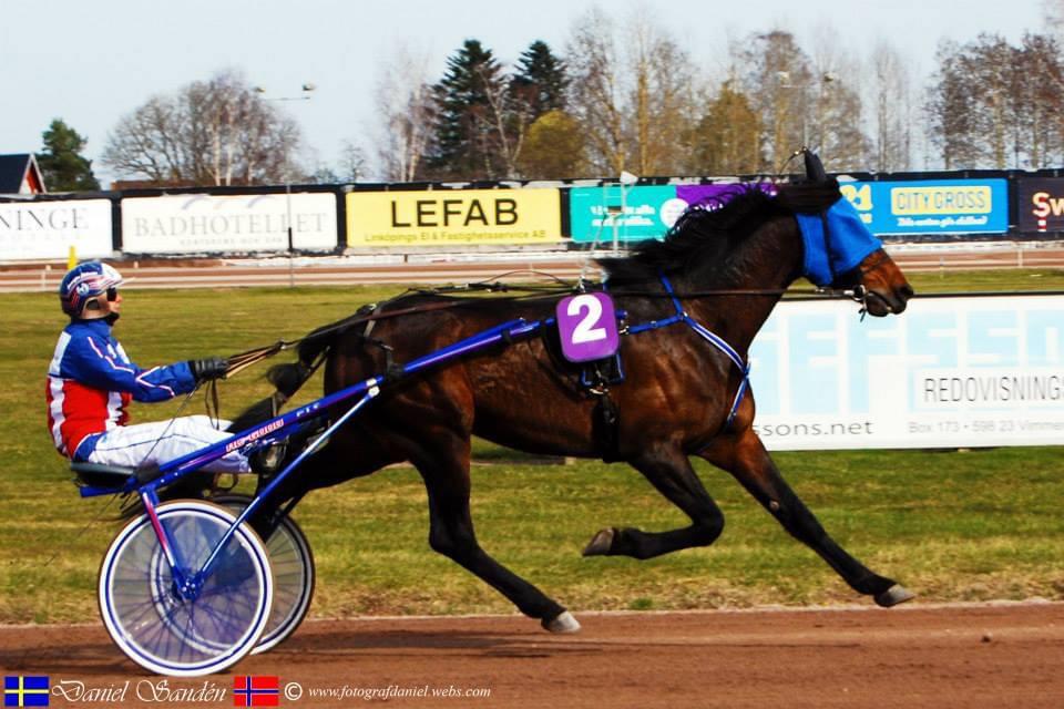 Traver Verrazano Field billede 7