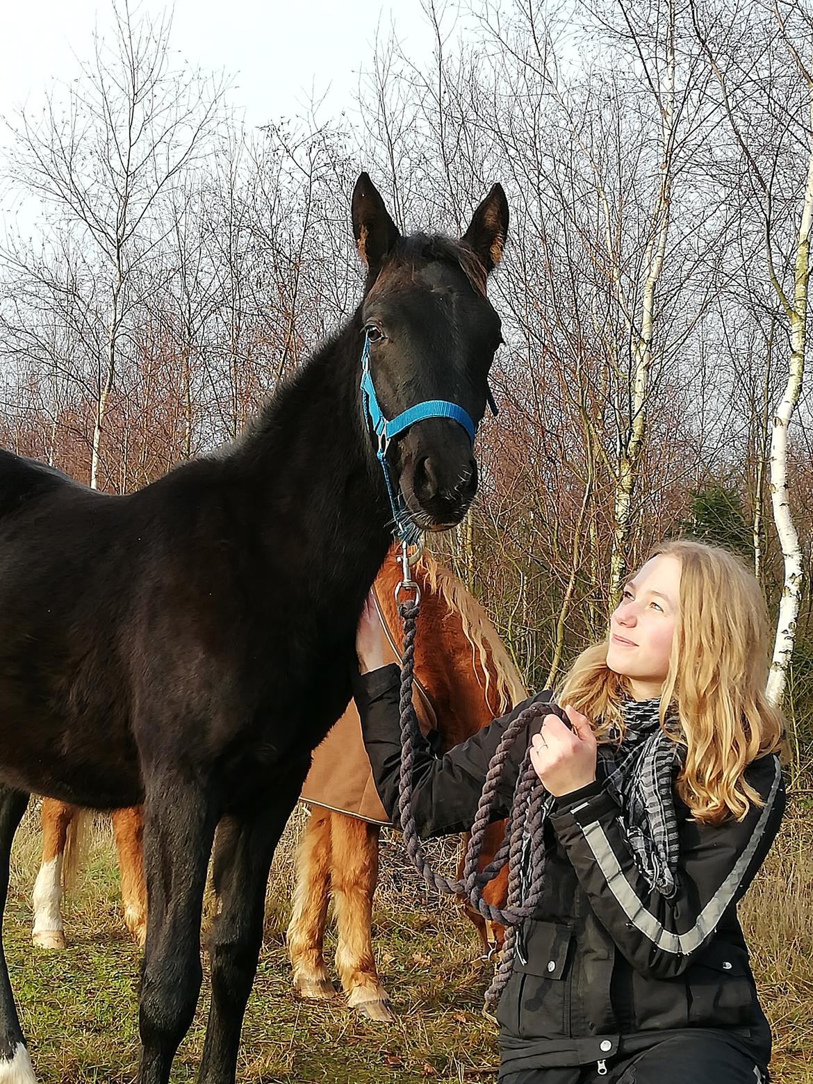 New Forest Harmony x af bækkely - Vinter 2020: Billede fra en af de første skovture vi var på. Søde Calibro, der græsser i baggrunden. billede 12