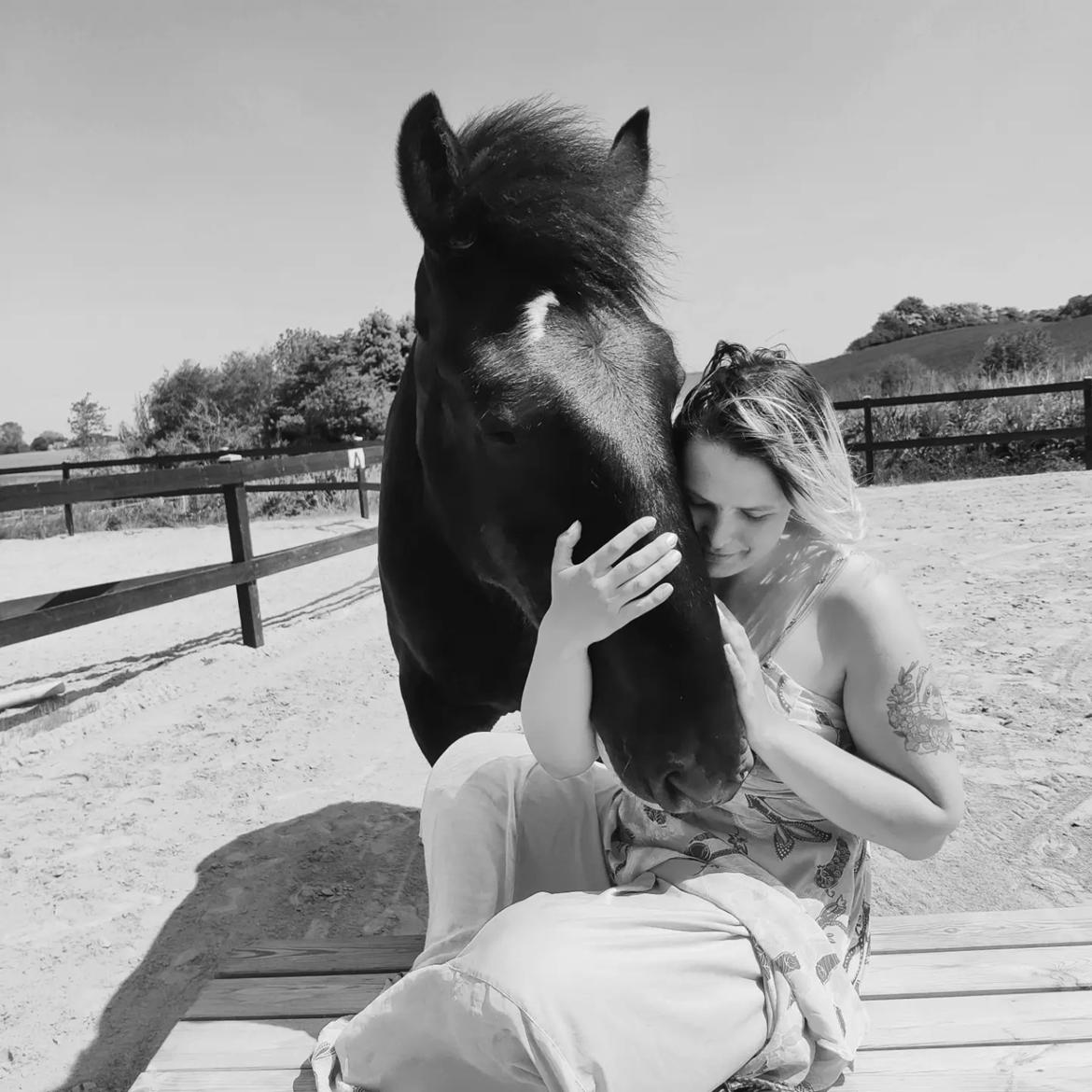 Shire Lønborgs Sir Lancelot (Lille Fyr) billede 8