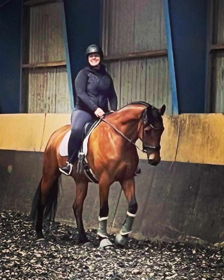 Trakehner Komet Sct. Olav billede 2