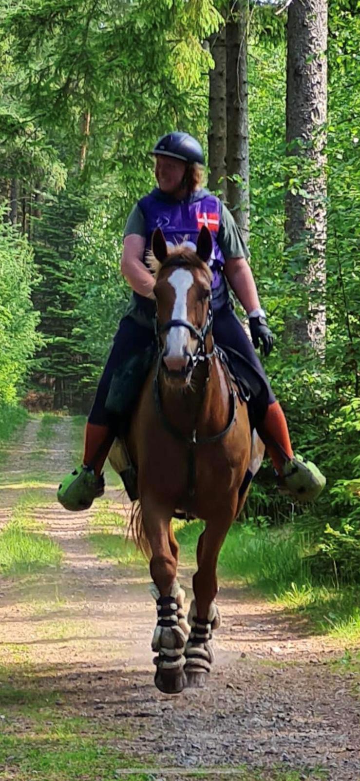 Anden særlig race Mio billede 13