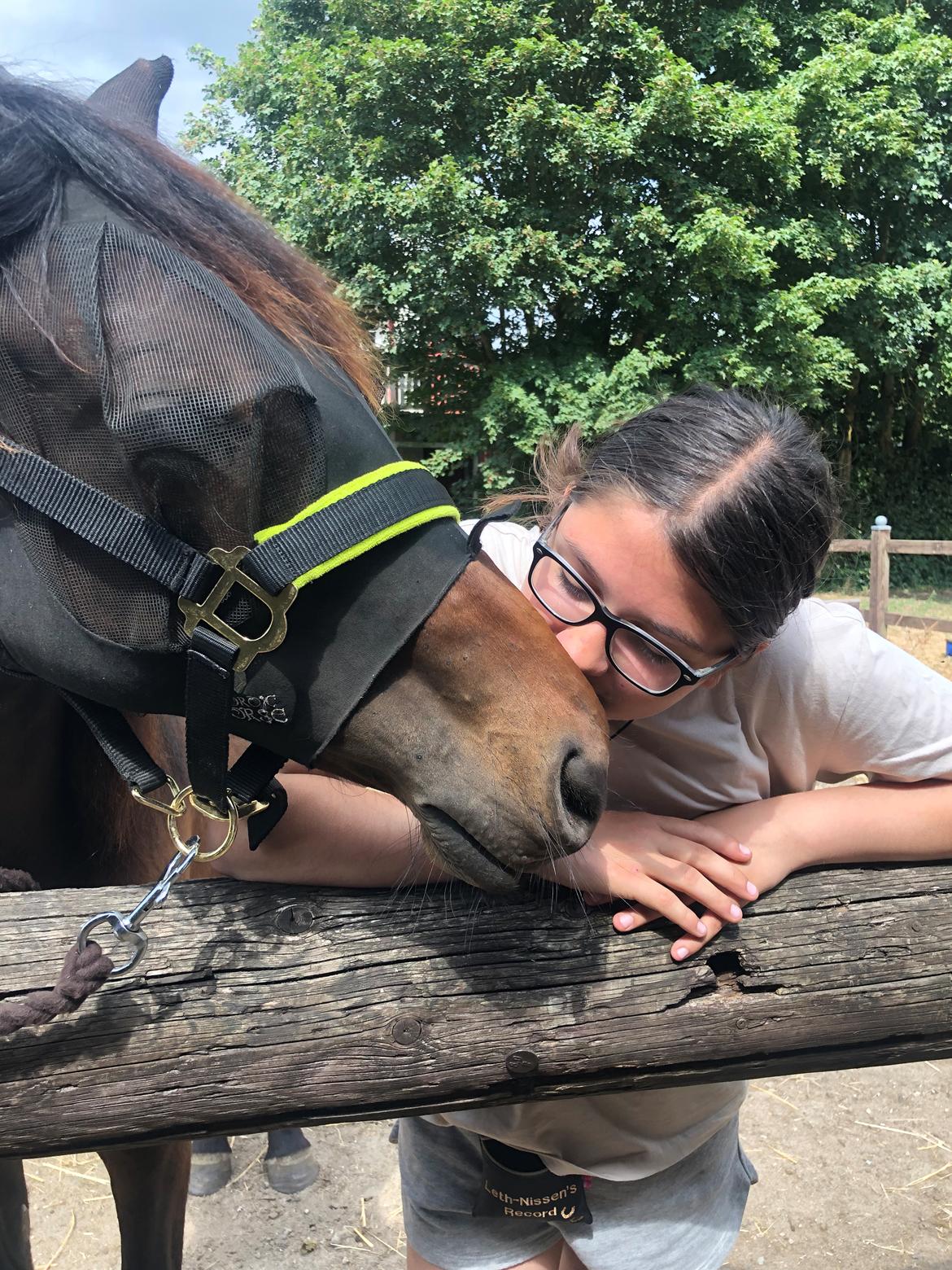 Knabstrupper Leth-Nissen's Record - Sommer ‘23 ja tak til vejret billede 3