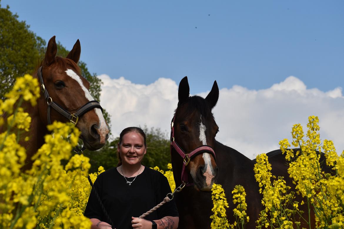 Anden særlig race Lakie billede 16