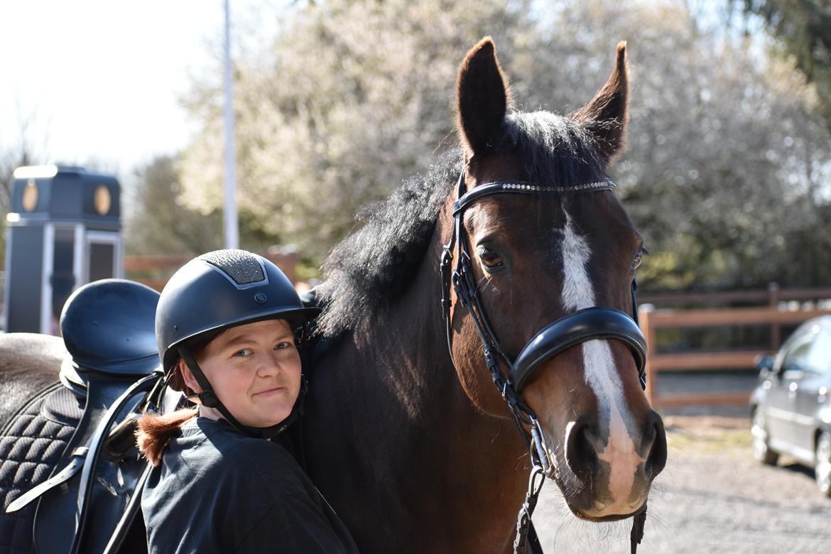 Anden særlig race Lakie billede 13