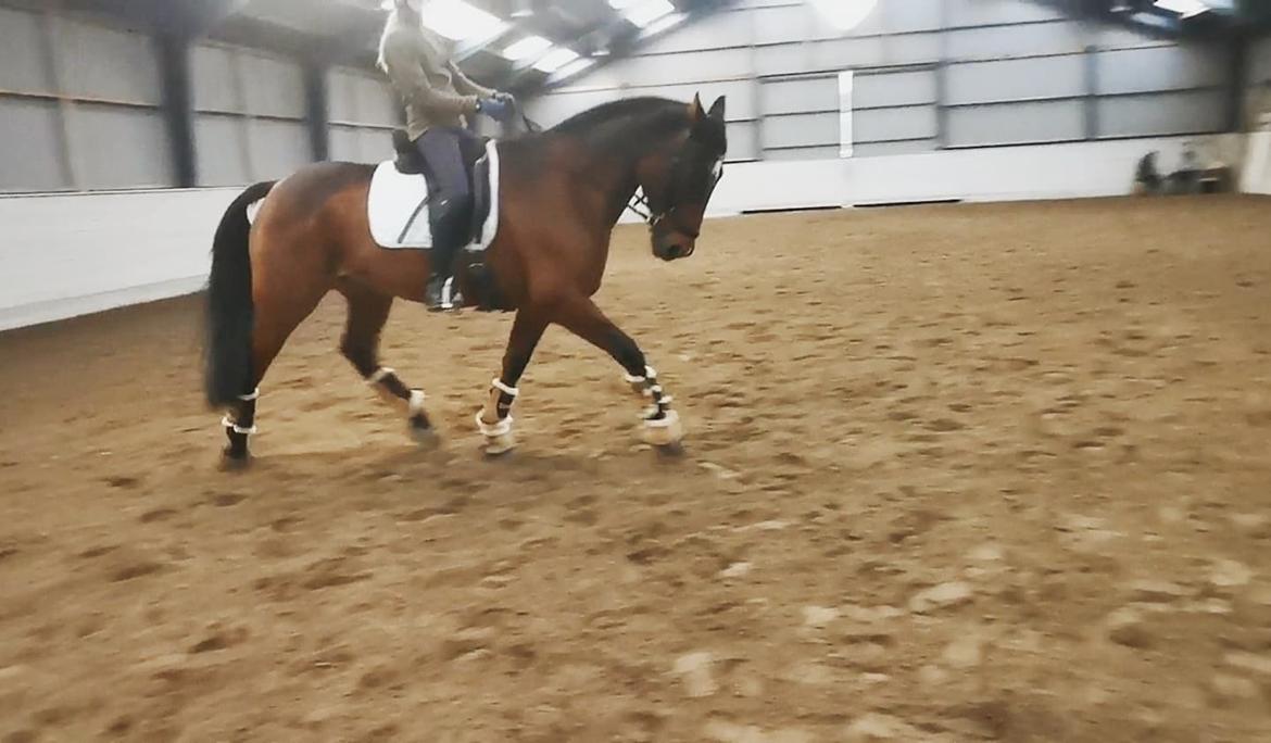 Traver Kenny u.a. - Vinter 2022 billede 6