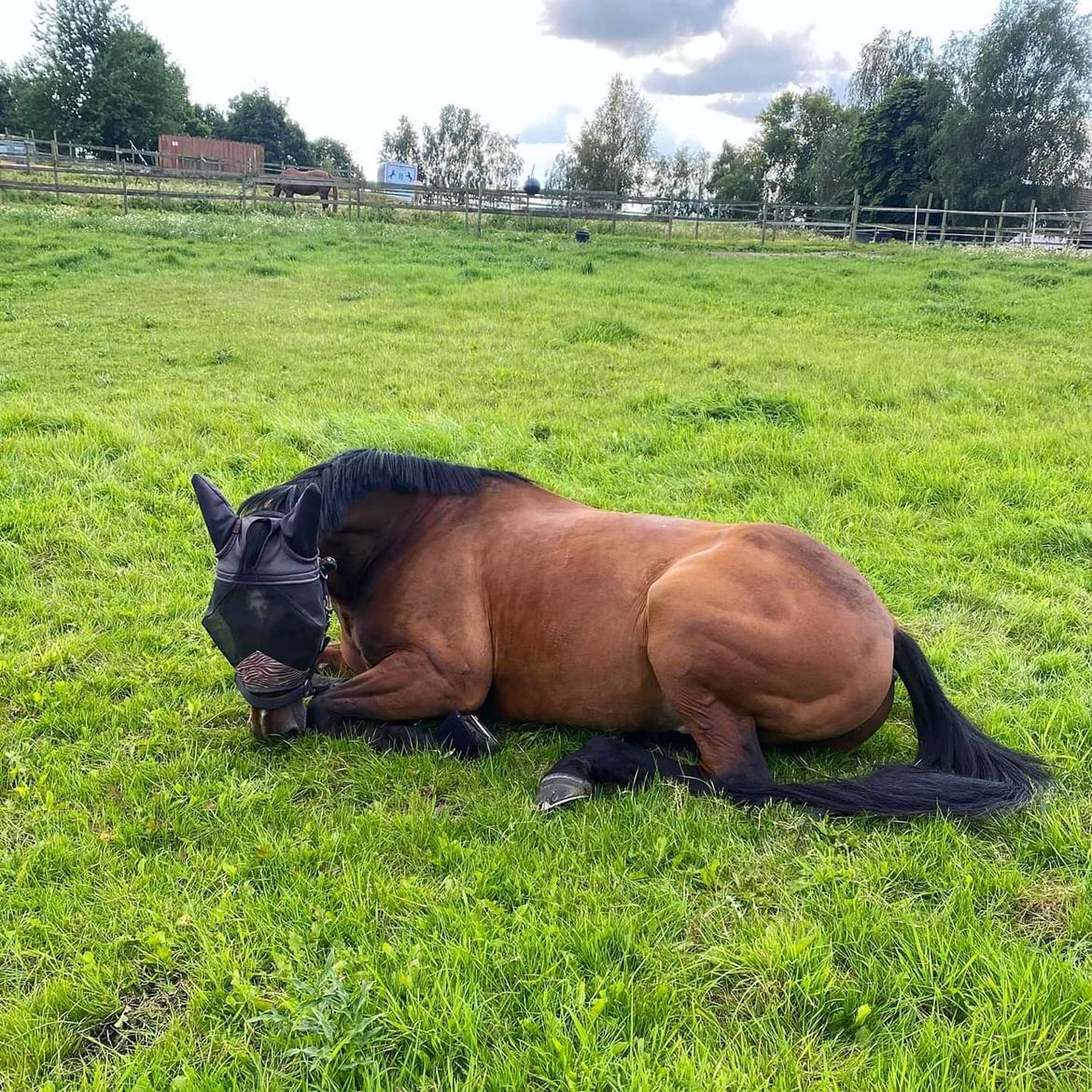 Traver Kenny u.a. - Sommergræs 2022 billede 20