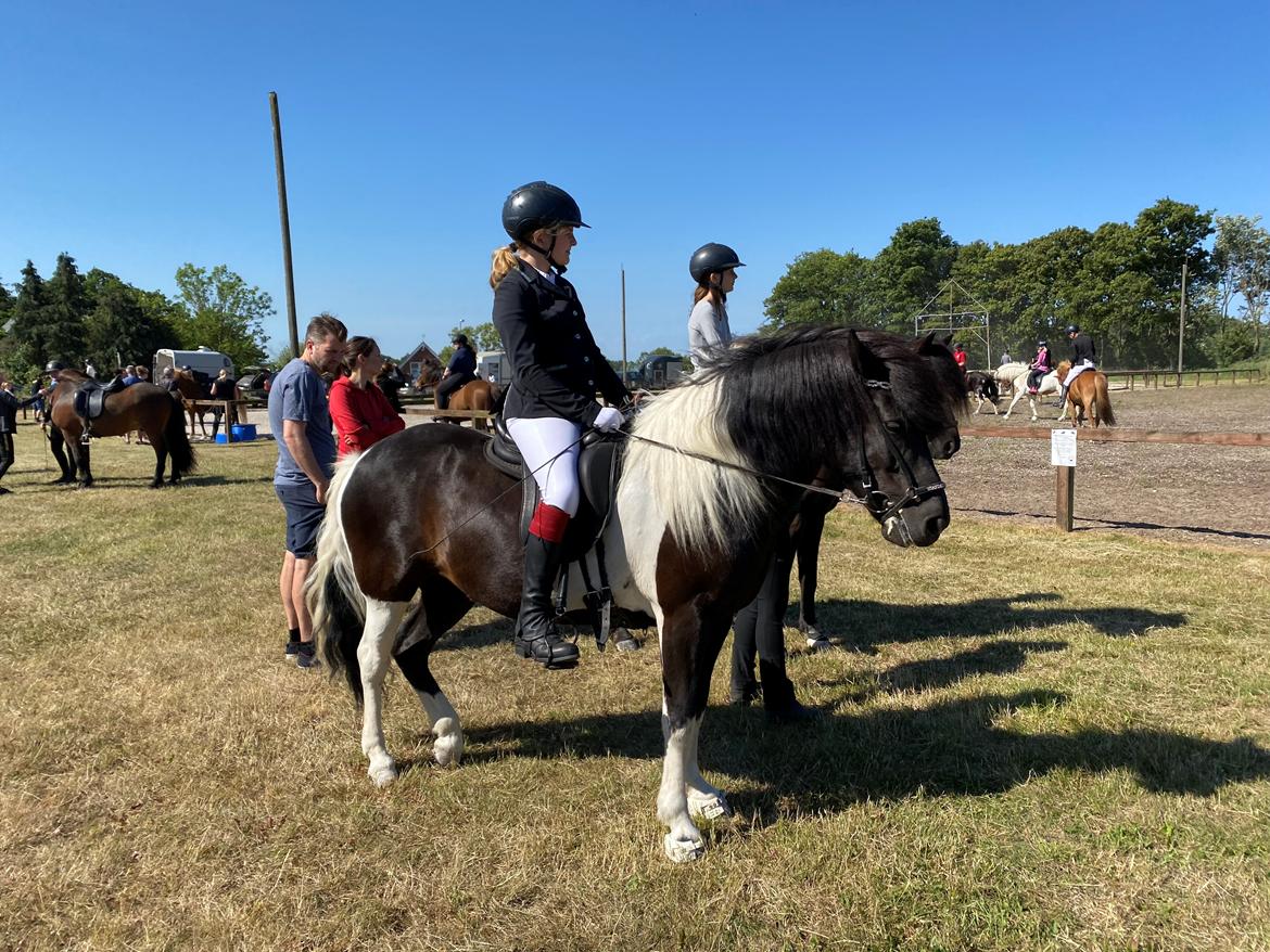 Islænder Lára fra sønderby  billede 2