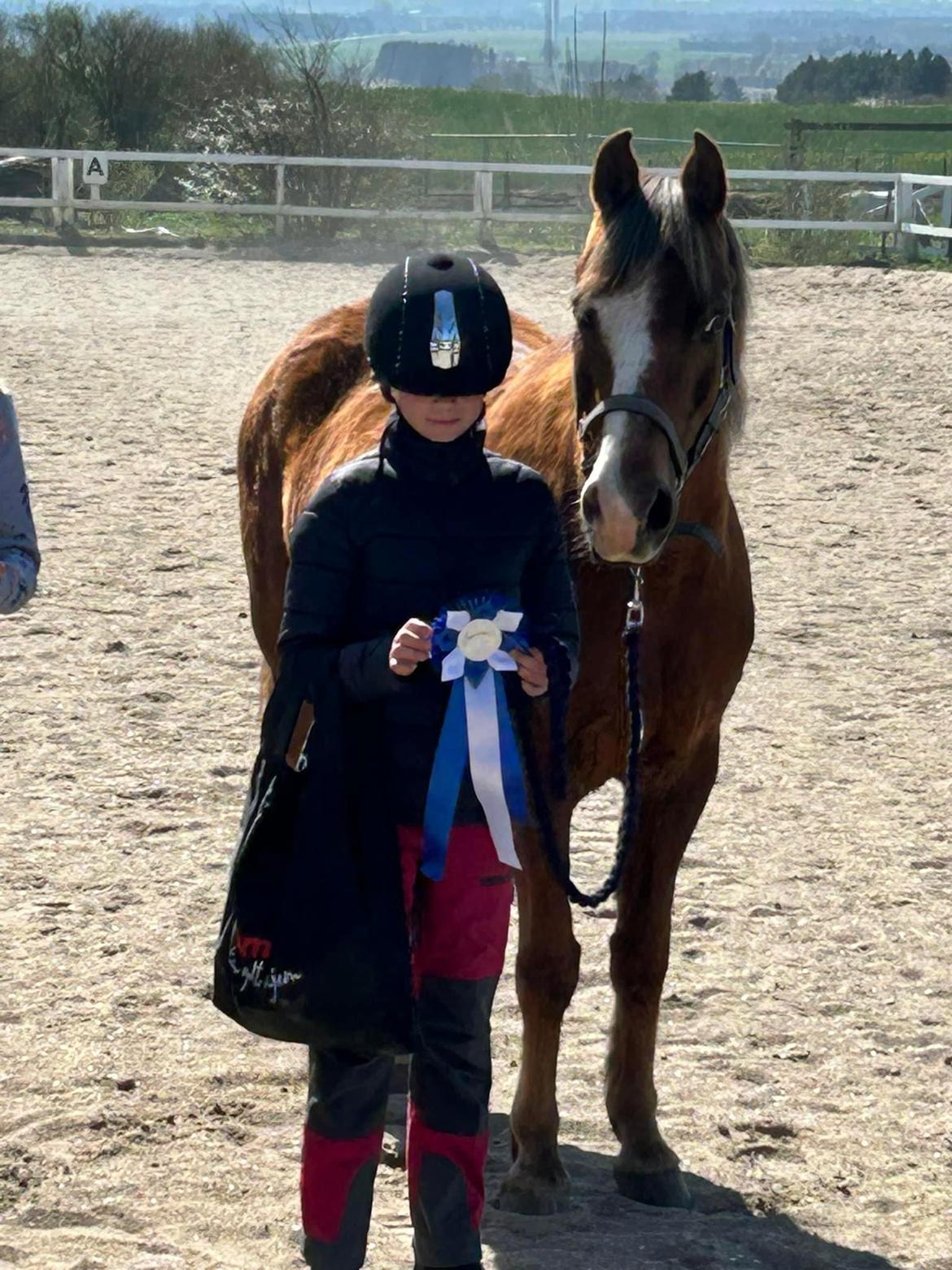 Anden særlig race Minagetzo  billede 3