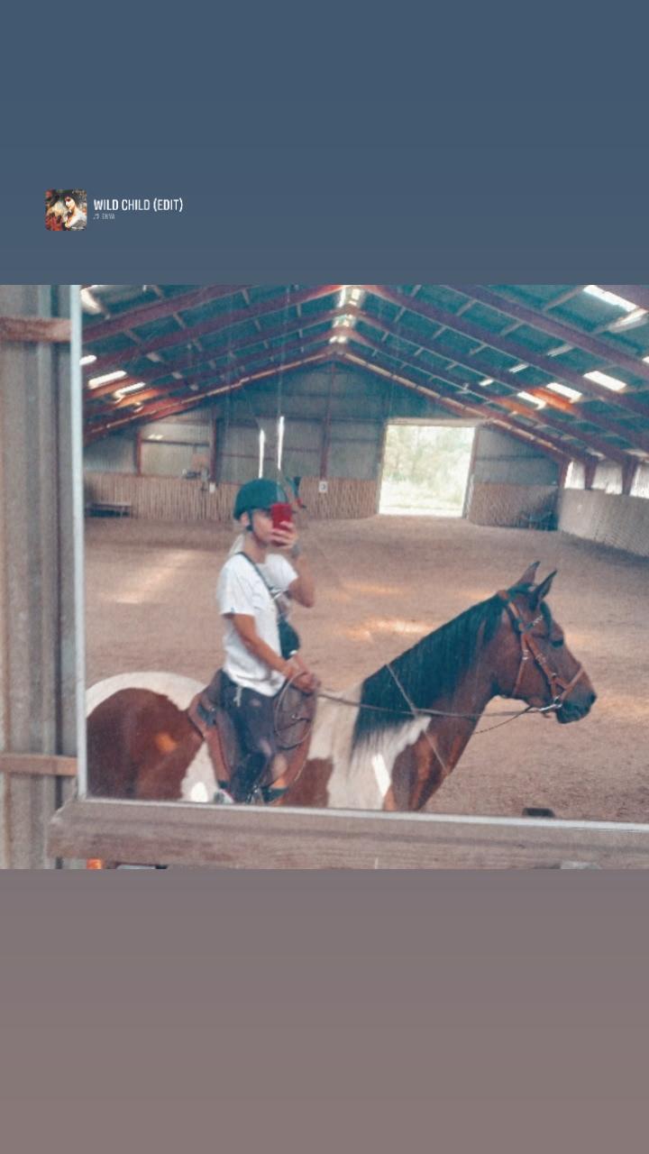 Pinto Løvegaardens Hidalgo - juli 2023  billede 15