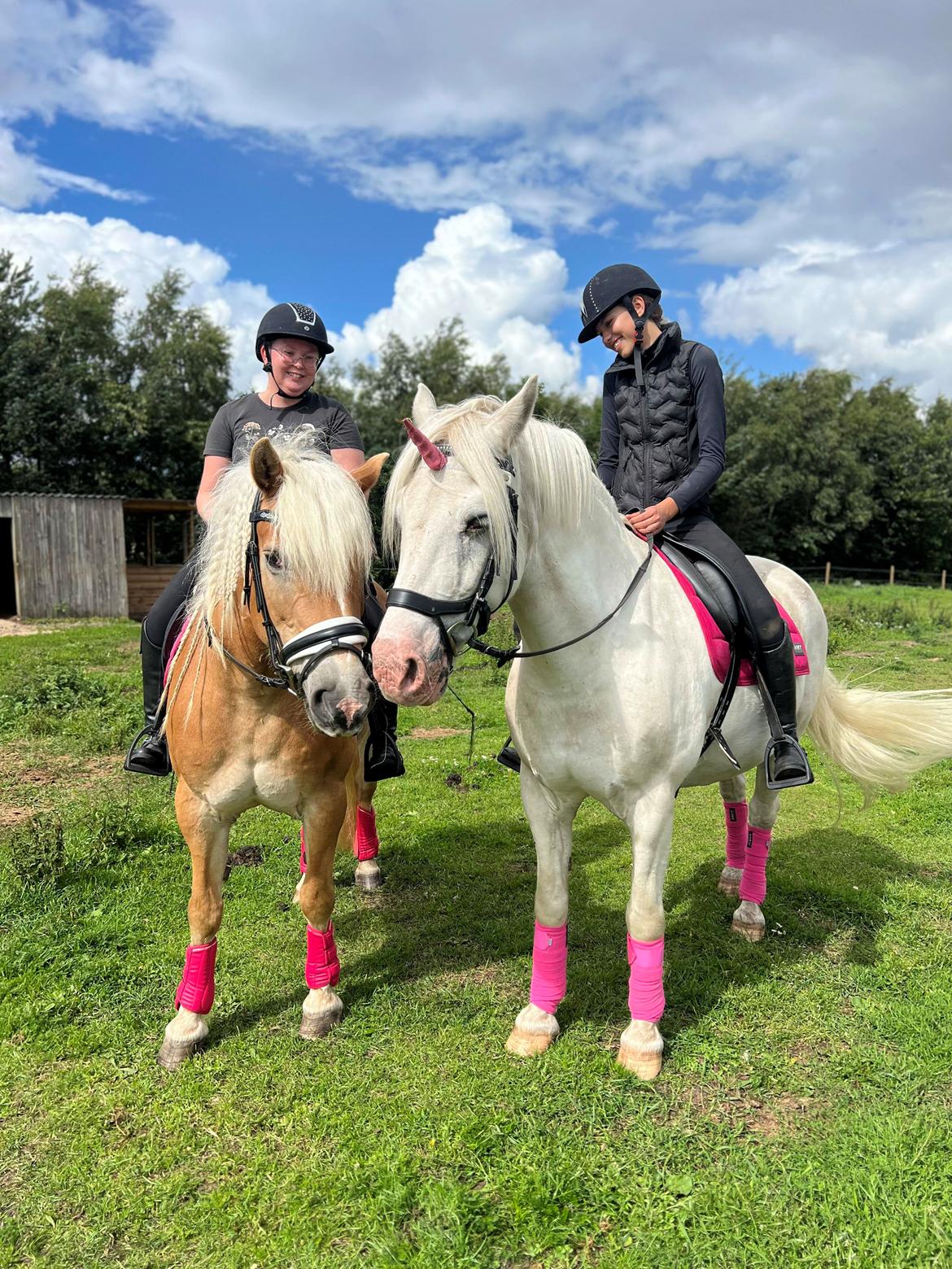 Anden særlig race Snowball  - Juli 2023 - Snebold som enhjørning  billede 20