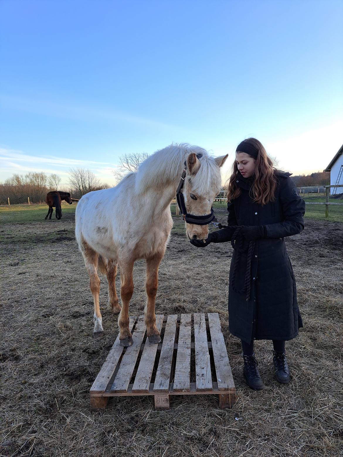 Anden særlig race Keldbæksgaard's Holger - April 2023 billede 17