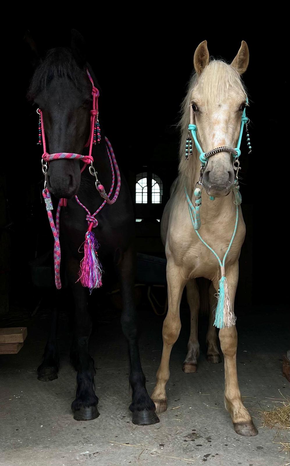 Frieser Højlund's Zafira billede 4