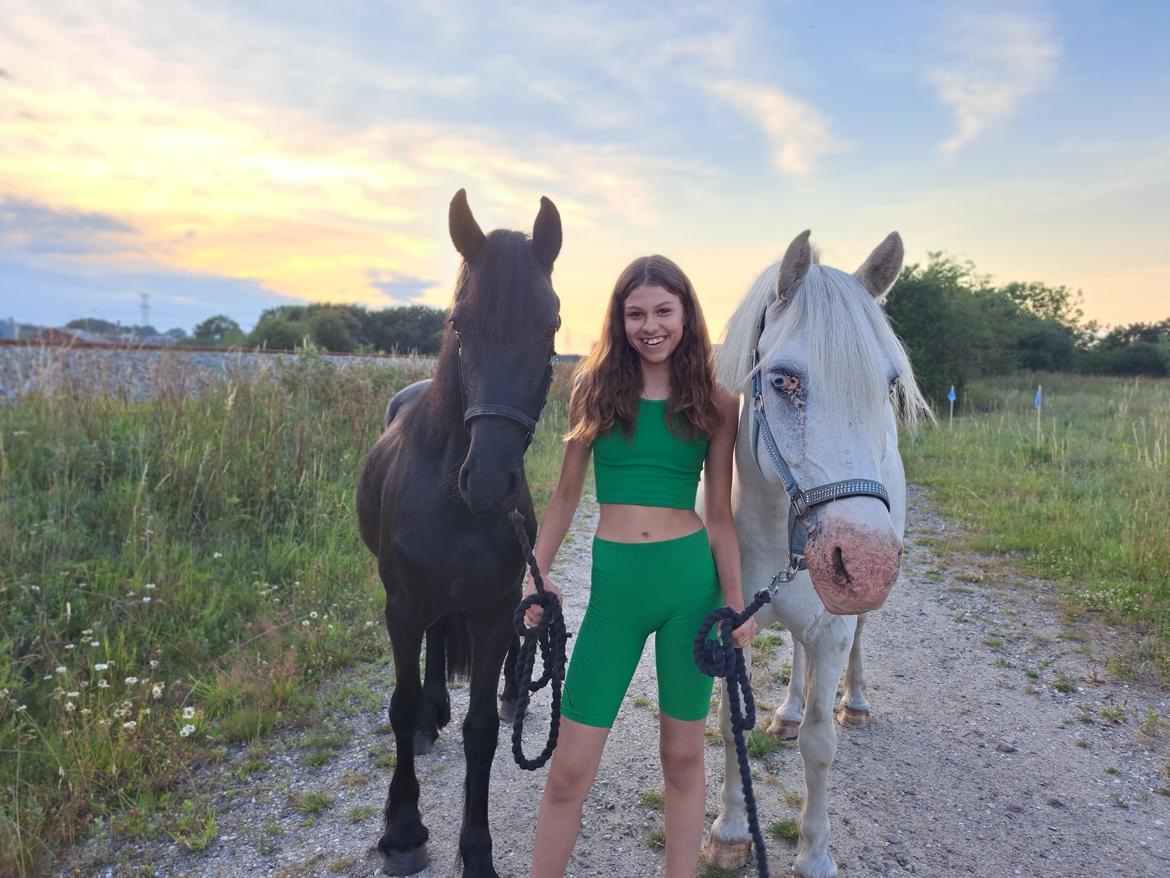 Frieser Højlund's Zafira billede 6