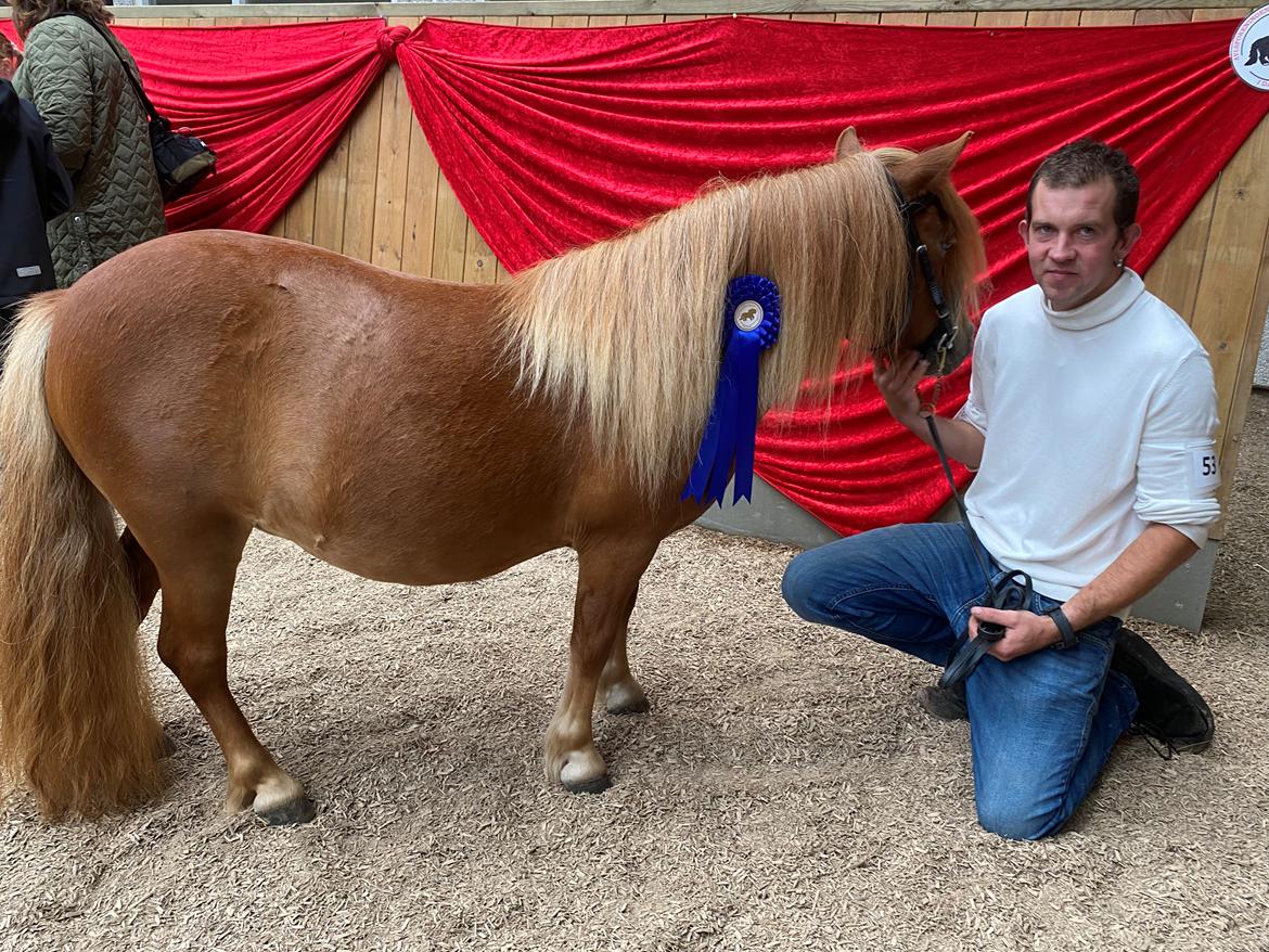 Shetl&#230;nder Tinka billede 10