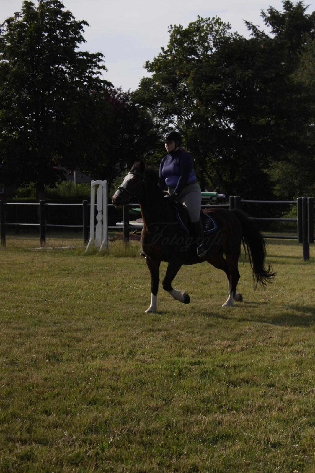 Oldenborg My Lady billede 11