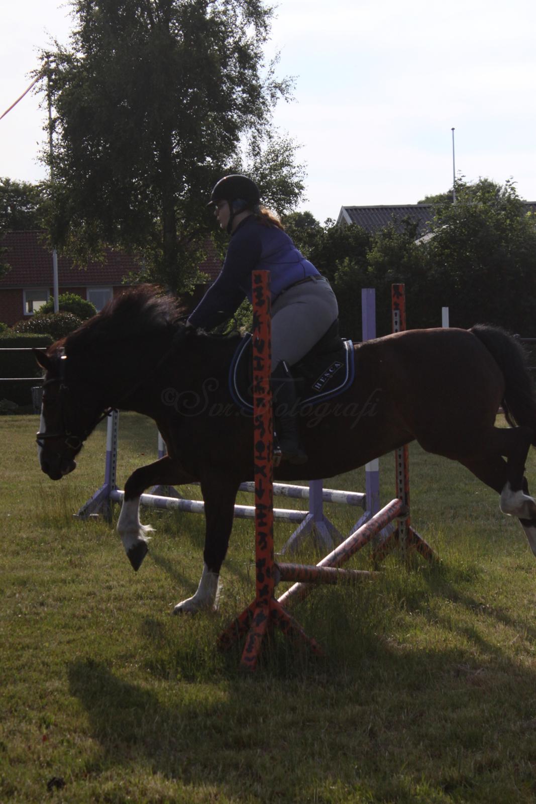 Oldenborg My Lady billede 7