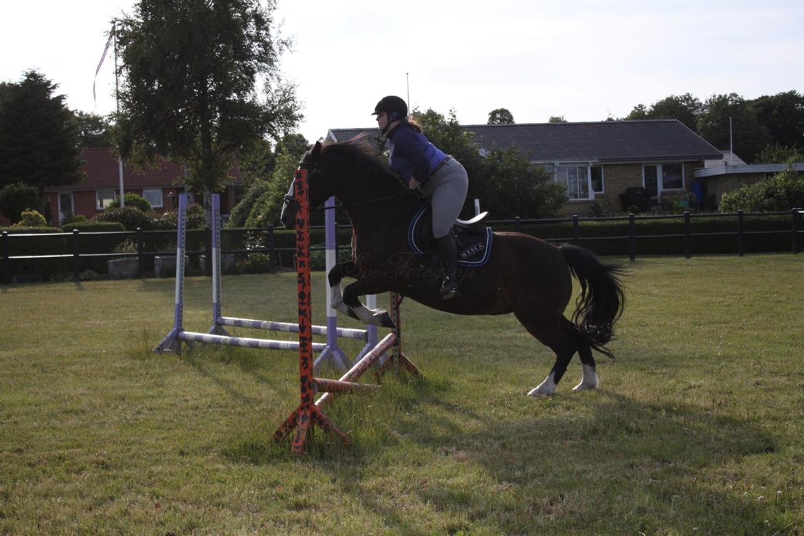 Oldenborg My Lady billede 3