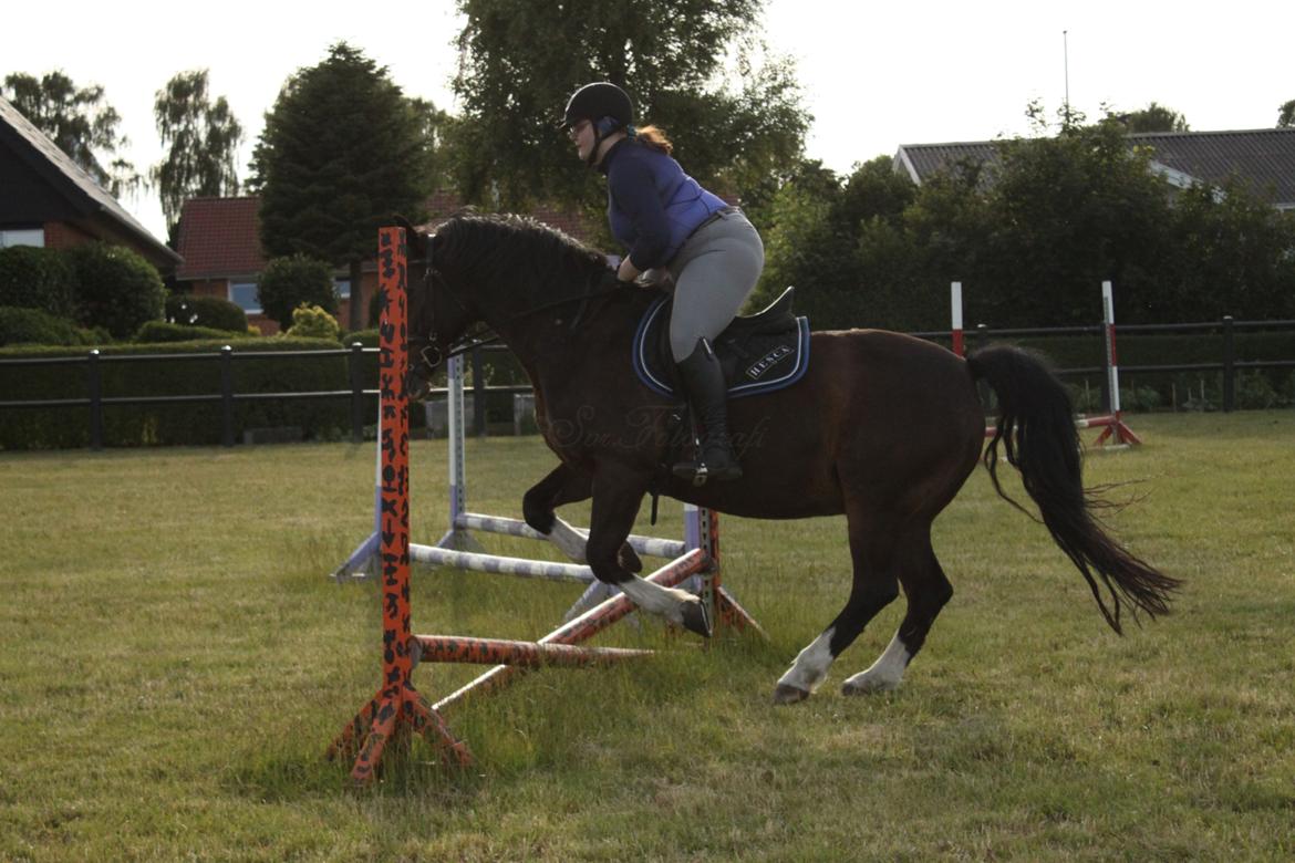 Oldenborg My Lady billede 4