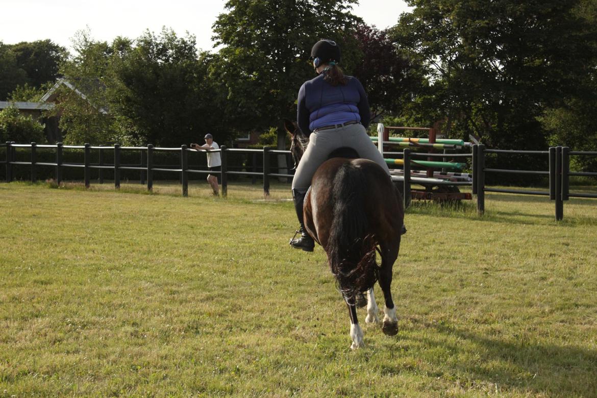 Oldenborg My Lady billede 5