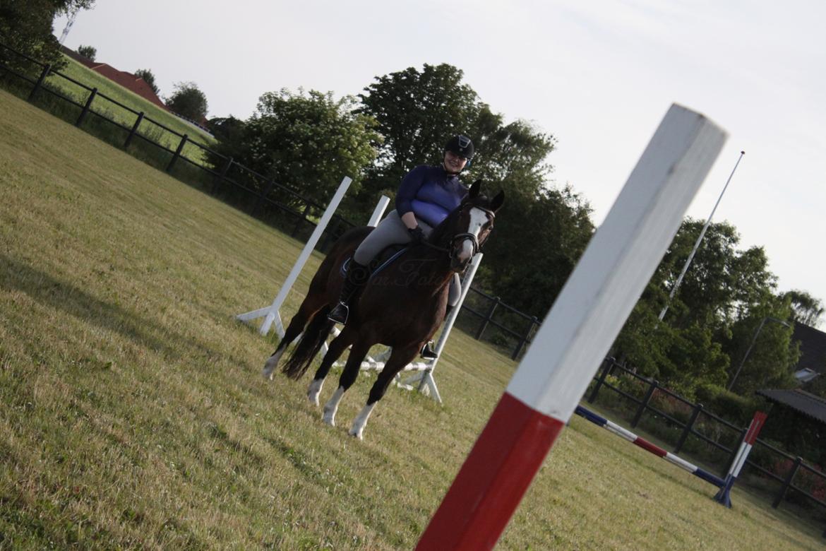 Oldenborg My Lady billede 2