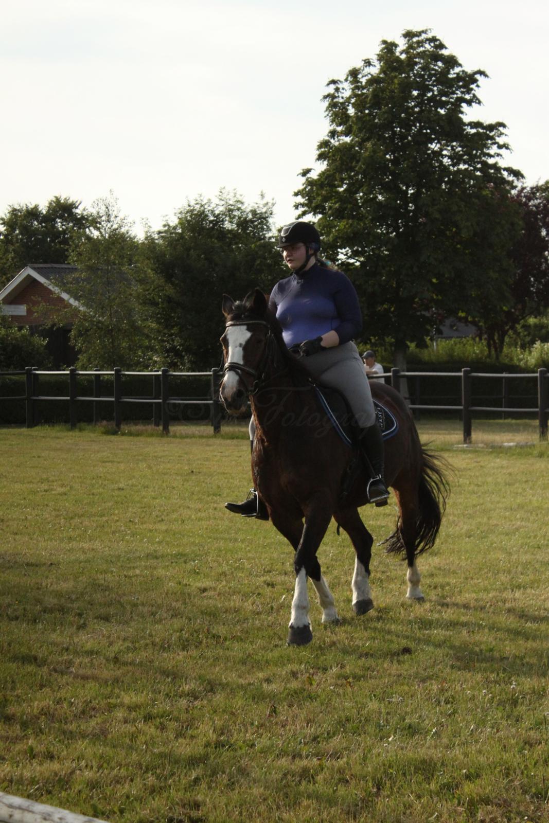 Oldenborg My Lady billede 8