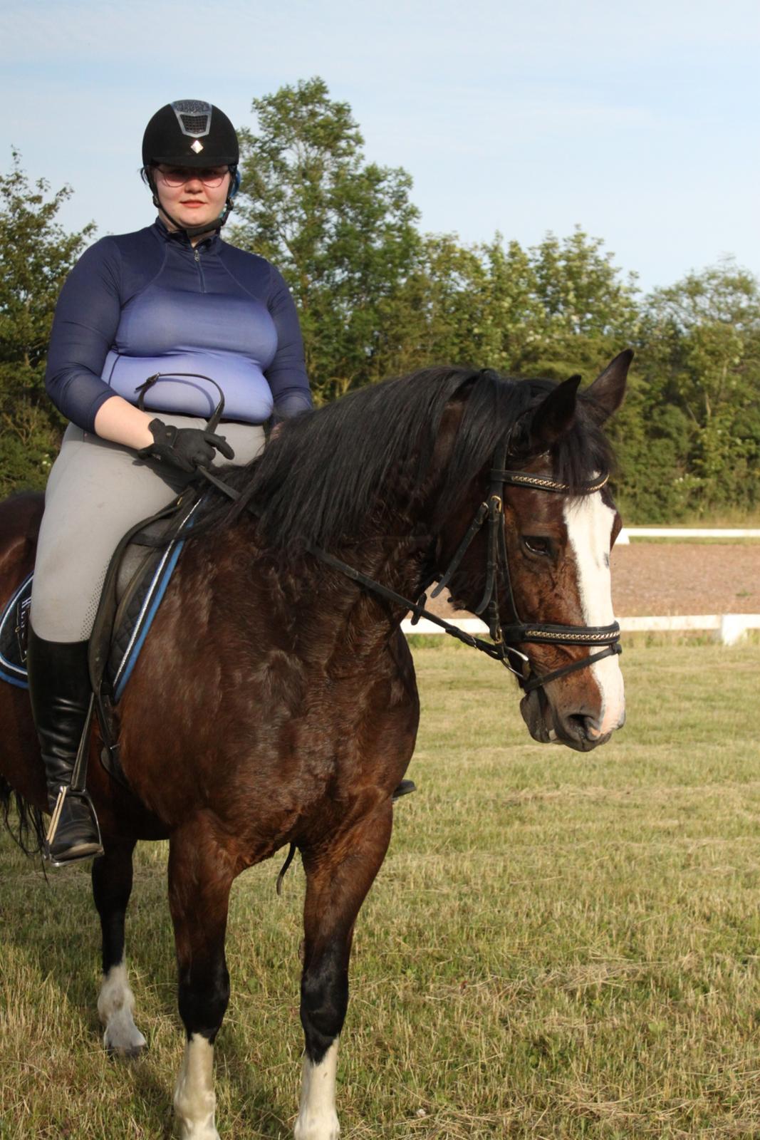 Oldenborg My Lady billede 9