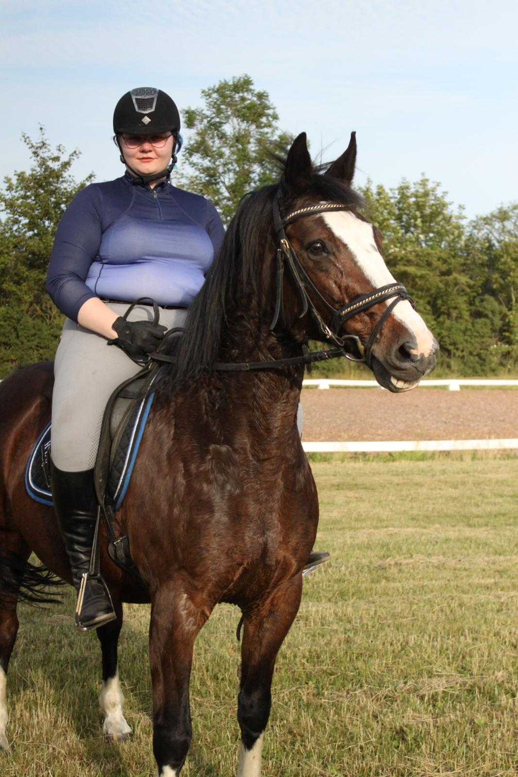 Oldenborg My Lady billede 1