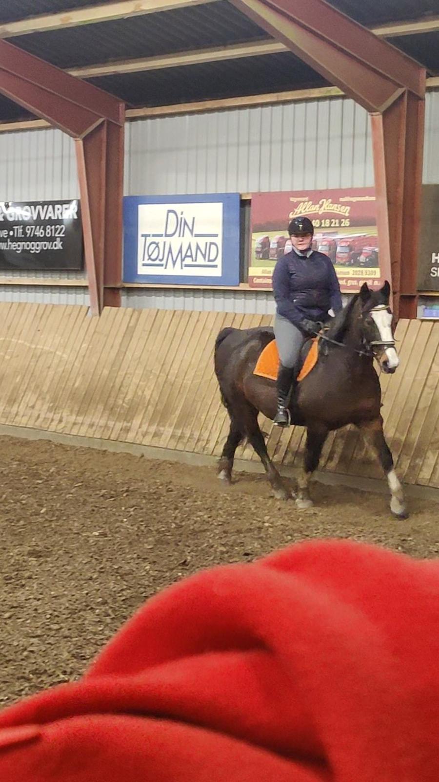 Oldenborg My Lady billede 18