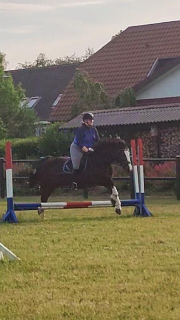 Oldenborg My Lady billede 13