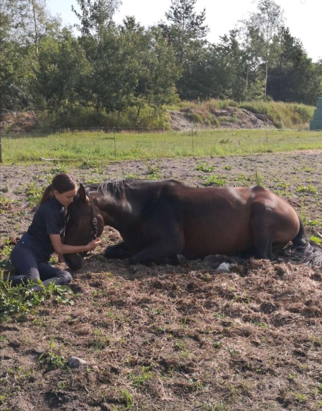 Anden særlig race Spot billede 3