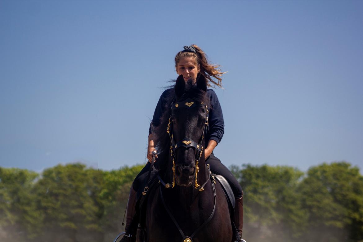Frieser Xynhia van de wisseltplaats. billede 2